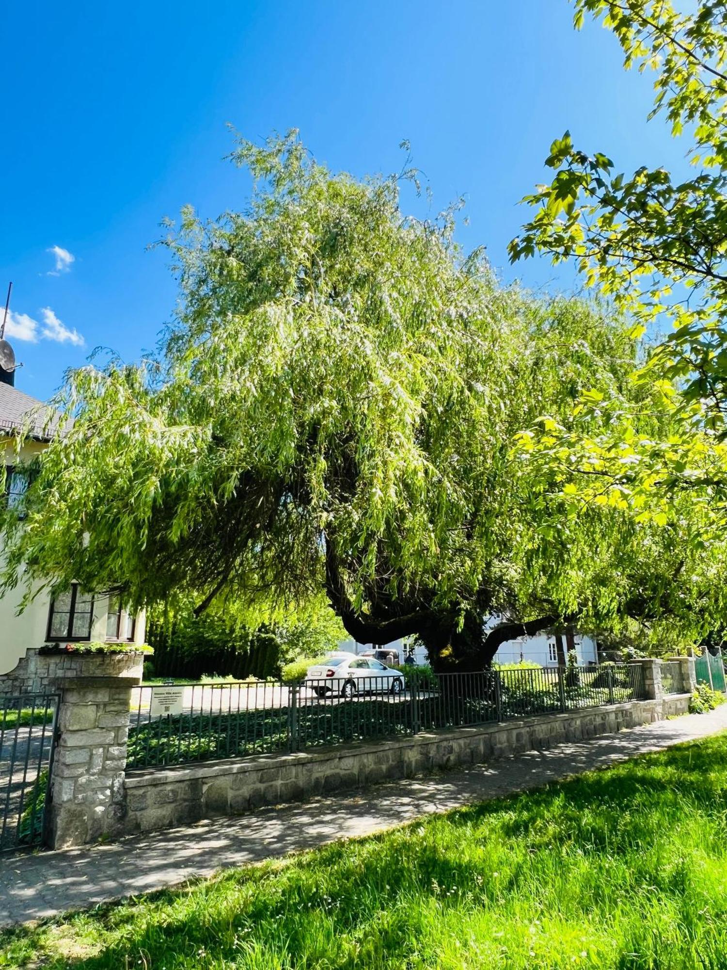 Penzion Villa Ancora Šumperk Kültér fotó