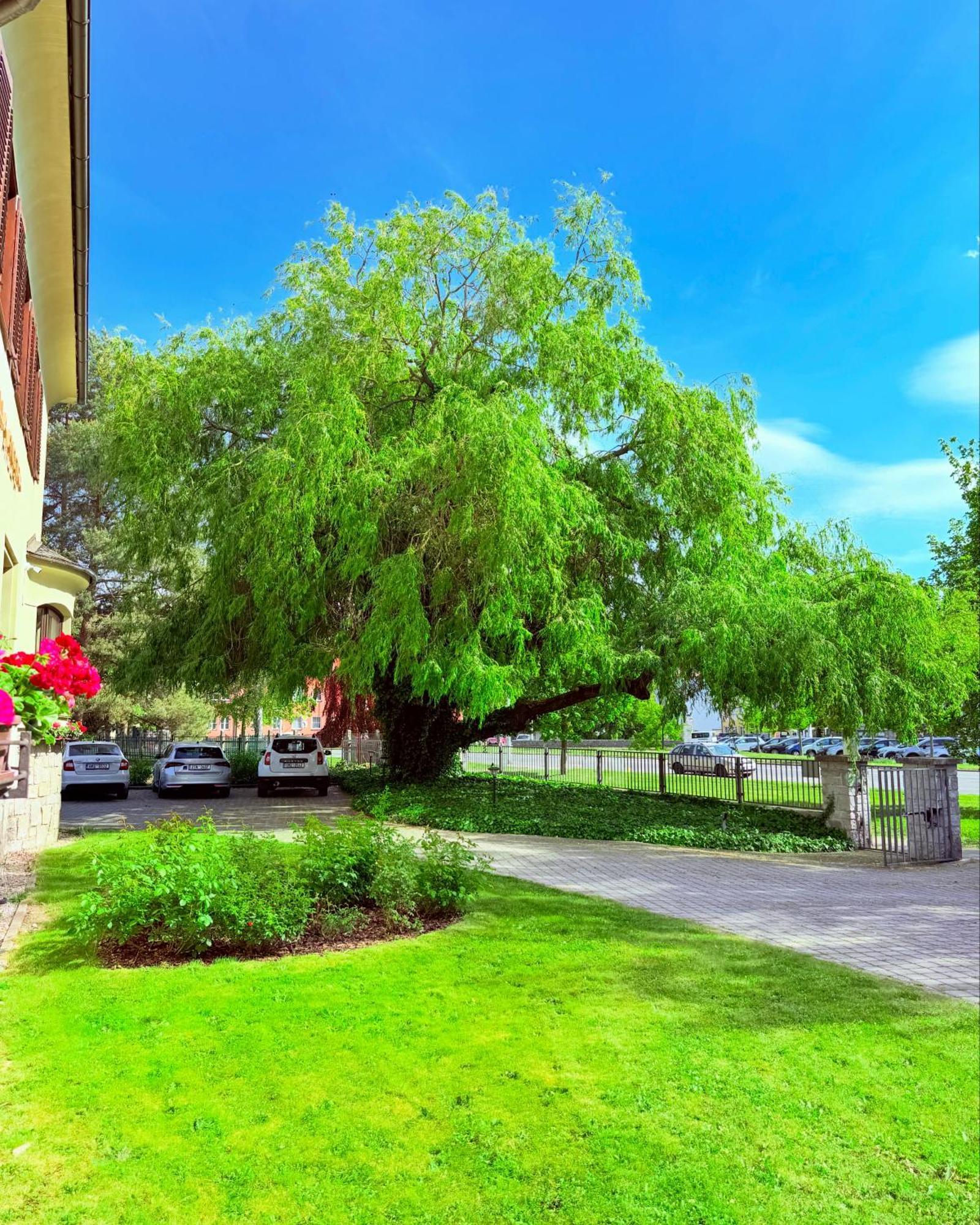 Penzion Villa Ancora Šumperk Kültér fotó